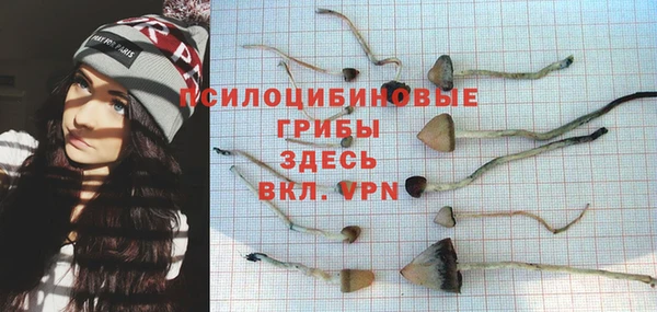 мяу мяу мука Абинск
