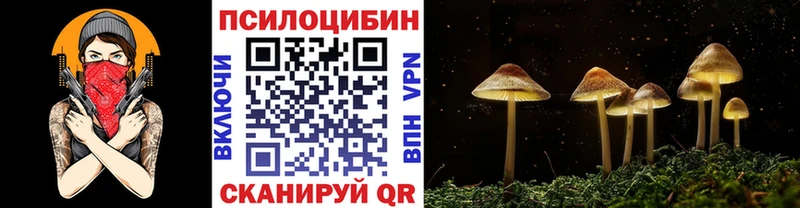 Галлюциногенные грибы Psilocybine cubensis  Шлиссельбург 
